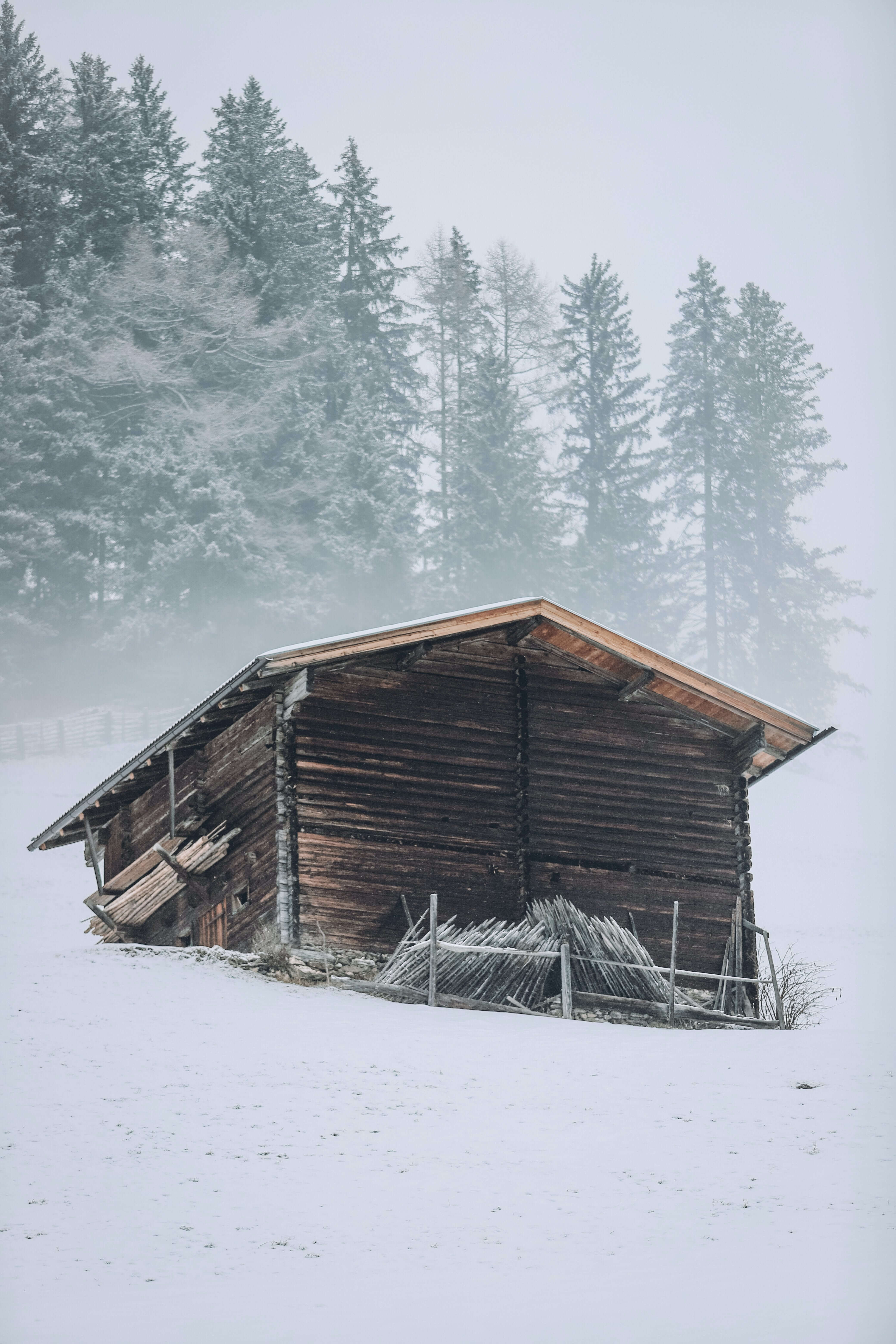 Mountain House's image
